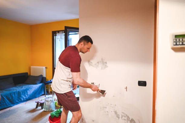 Best Mold Remediation  in Lipscom, AL