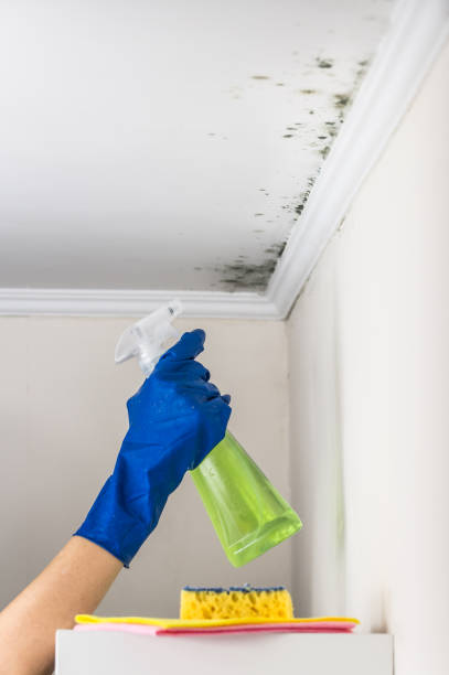 Crawl Space Mold Removal in Lipscom, AL